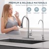 FORIOUS Kitchen Faucet and Water Filter Faucet Combo, Brushed Nickel