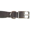 S/PROT DOG COLLAR 1 X 26 In BL