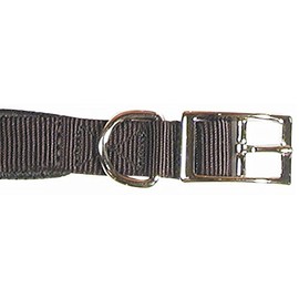 S/PROT DOG COLLAR 1 X 26 In BL