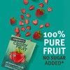 Crispy Green Natural Freeze-Dried Fruit, Strawberry Single-Serve, No Sugar Added,