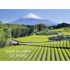 Matcha Wellness - Matcha Green Tea Powder Organic Ceremonial Grade