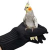 Refein Bird Training Anti- Bite Gloves, Parrot Chewing Working Protective