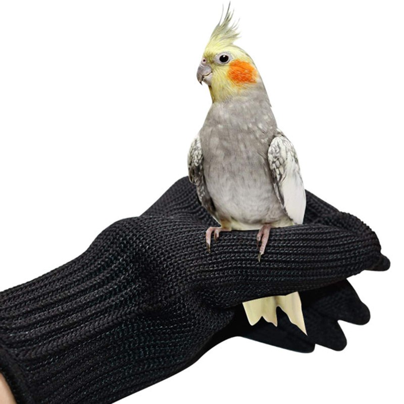 Refein Bird Training Anti- Bite Gloves, Parrot Chewing Working Protective