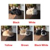 GeKLok Simulation Sleeping Cat Toy, Lifelike Sleeping Cat, Realistic Sleeping