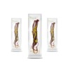Cheonjemyeong 6-year-old red ginseng soothing fruit 800g / 천제명 6년근