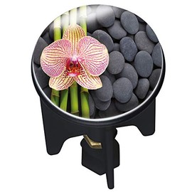 WENKO 20865100 Drain plug Pluggy Spa fits all conventional drains, Plastic, 3.9 x 6.5 x 3.9 cm, Multicoloured