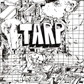TARP TARP NEW LP