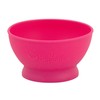 green sprouts Feeding Bowl, Pink