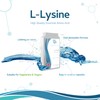 L-Lysine Tablets 1,000mg - 90 Tablets - Potent Vital Amino