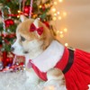 3 Pcs Dog Christmas Costumes Puppy Velvet Dress Xmas Outfits