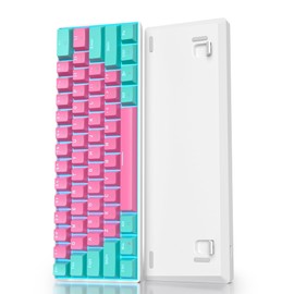 60 Percent Gaming Keyboard 61 Keys Wired Mechanical Keyboard Ultra Compact Keyboard Red Switch LED Backlit for Windows Laptop Gamer(61 Miami)
