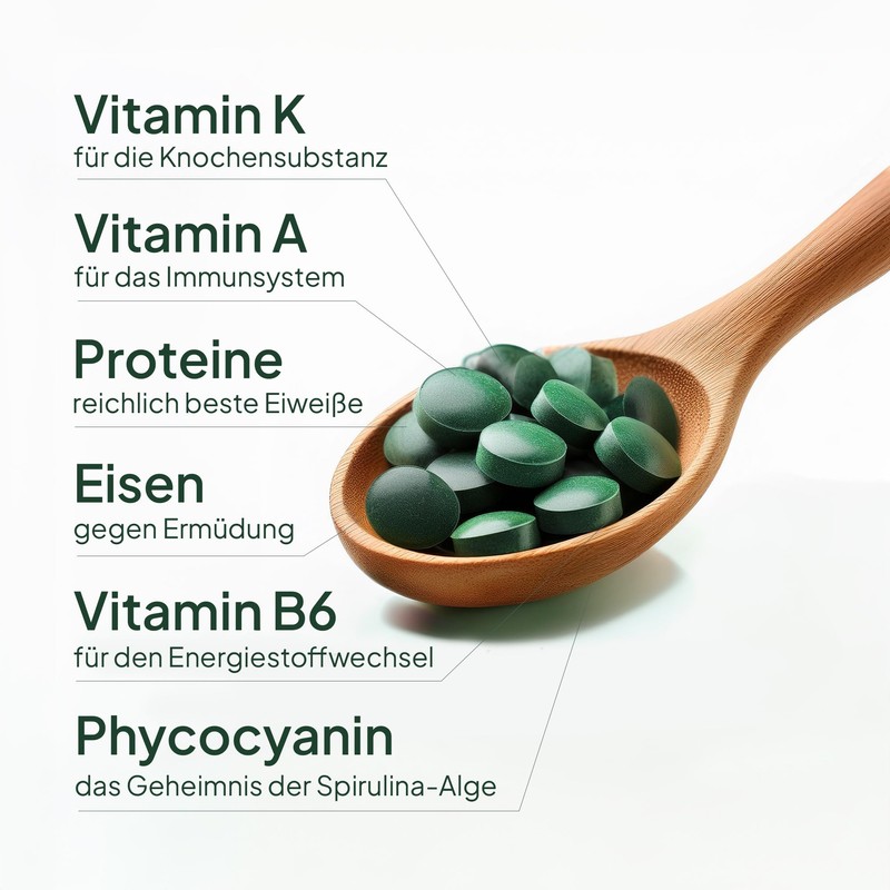 RAW BOOST SMART FOOD Spirulina-Tabletten aus 100% biologischem Anbau -Presslinge