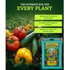 FoxFarm Ocean Forest Potting Soil, 12qt – Light, Aerated Texture,