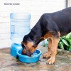 Petmate Big Blue Outdoor Water Bowl, 5 Gallons, (Water Jug