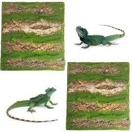 kathson 2pcs Cork Bark for Reptiles 11.8 "L X 11.8" W Cork Terrarium Background Bearded Dragon Tank Background with Artificial Moss Natural Reptile Climbing Mat for Spider Gecko Lizard Chameleon
