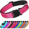 Collar Reflejante para Perro y Gato, Diseño Cómodo, Resistente. Ideal