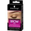 Schwarzkopf, Eyebrow Kit, Permanent Eyebrow Coloring, Eyebrow Dye, Up to