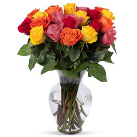 Benchmark Bouquets - 24 Stem Premium Rainbow Roses (Glass Vase Included) - Fresh Flowers for Next Day Delivery - Gift for Birthday, Anniversary, Get Well, Sympathy, Congratulations