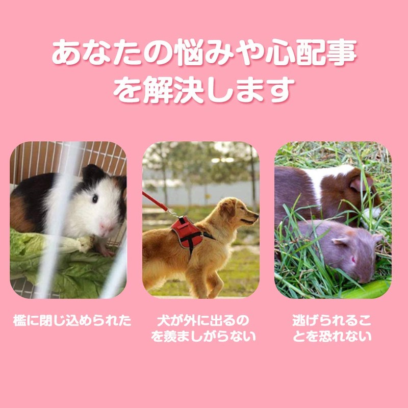 2 Pieces Small Animal Harness Lead, Hamster Harness, Chinchilla Harness,