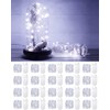 20 Pack Fairy Lights Battery Operated 3.3ft 20 LED Mini