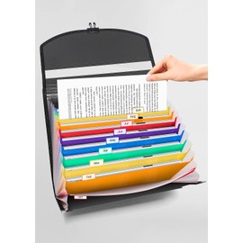Accordion File Organizer,Portable Expanding File Folder with Handle,12 Pockets Accordion File Box,Visible Window for Quick Lookup,Colored Tabs,A4/Letter Size Documents Paper Bill Filing Organizer