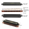 East Top 10 Holes 20 Tones 008K Blues Professional Diatonic