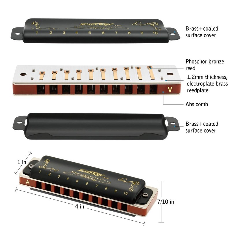 East Top 10 Holes 20 Tones 008K Blues Professional Diatonic