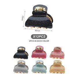 Pack of 12 Acrylic Hair Clips, Mini and Compact Design, Made of Acrylic Material, Fashionable and Lightweight, Various Colours Available, Suitable for Daily Hair Styling