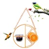 AIMALL Decorative Hummingbird Feeder with Orange Citrus Design – 7.08”