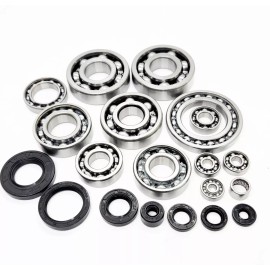 Pro Moto Supply KXF250 Tecate-4 Engine Case Crank & Transmission Bearings & Seals Kit 87-88 ATV
