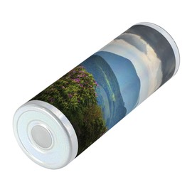 Ambesonne Appalachian 20 Oz Skinny Tumbler, Blue Ridge Mountain Peaks and Spring Azalea Flowers Blooming with Fluffy Clouds, Leak-Proof Straw Lid and Brush Vacuum Insulated for Outdoor Use, Multicolor