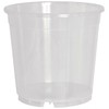 Geli Thermo Plastic Orchid Pot Transparent/Clear, 17 cm
