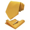 JEMYGINS Mens Silk Tie & Tie Clips & Pocket Bar