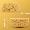 MAQIHAN 2PCS Knockdown Texture Sponge - Drywall Repair Texture Spray