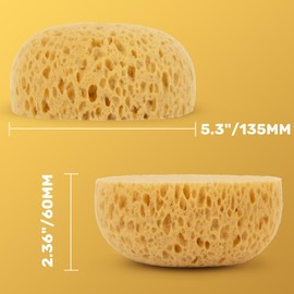 MAQIHAN 2PCS Knockdown Texture Sponge - Drywall Repair Texture Spray Drywall Texture Patch Sponge for Painting Ceiling Wall Knock Down Texture Tool Paint Sponge