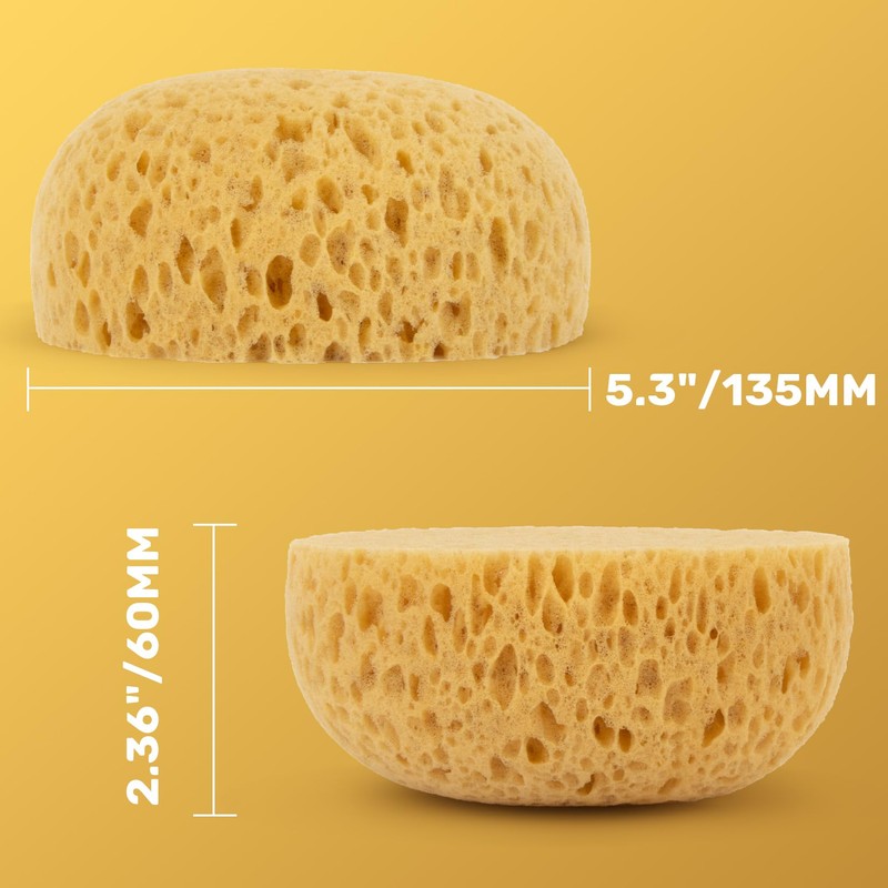 MAQIHAN 2PCS Knockdown Texture Sponge - Drywall Repair Texture Spray