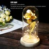 Rose in Glass Dome Lucky Beautiful Symbolism Romantic Enchanted Rose