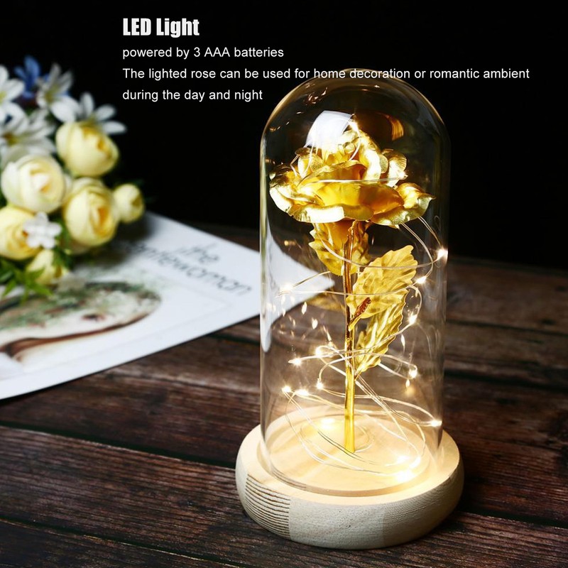 Rose in Glass Dome Lucky Beautiful Symbolism Romantic Enchanted Rose