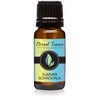 Summer Boardwalk - Premium Grade Fragrance Oils - 10ml -