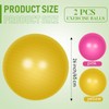 Leyndo 2 Pcs Yoga Ball Bulk Large 26 Inch Exercise