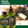 Hair Chemist Superior Growth Jamaican Black Castor Hair Oil 12