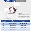 MESVIER Arnés para Perro Chico Mediano Grande con Correa 1.5m,