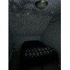 Dark Skys DS-FX Home Planetarium Star Projector