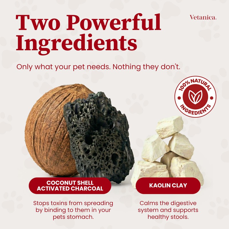 PawMergency – Activated Charcoal First Aid Kit Emergency Rescue for