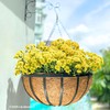 LaLaGreen Outdoor Hanging Baskets for Plants (2 Pack, 20 Inch)