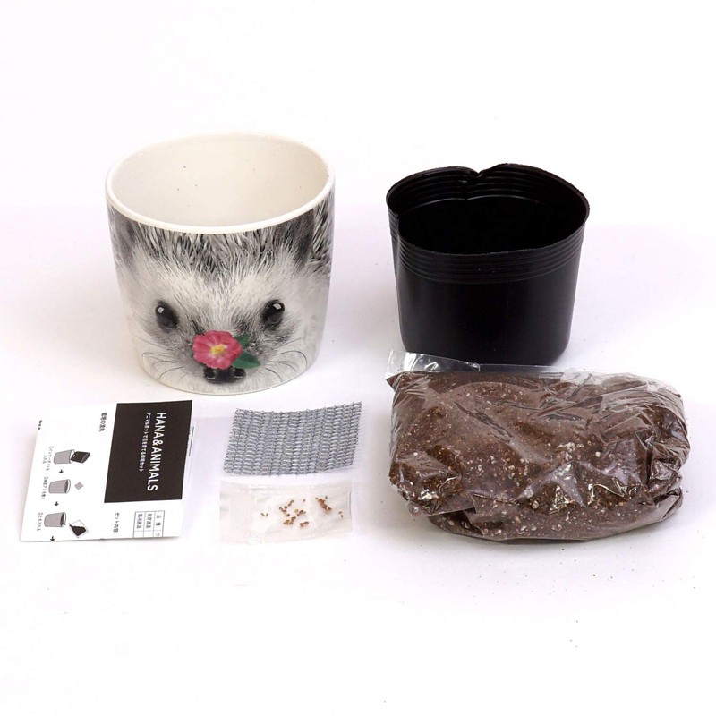 St New Grown Pottery Set Hannah & Animals GD –