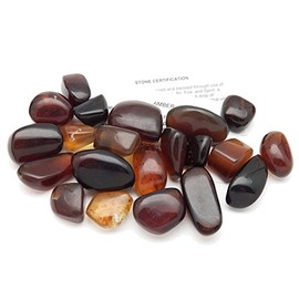 Fundamental Rockhound Products: 1 pc Amber Tumbled Stone Crystal Rock Fossil from Indonesia (5+ Grams)