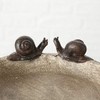 BOLTZE Bird Bath Diameter 21 cm Brown Resin Snails