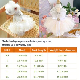 ANIAC Embroidered Dog Dress for Small Dog,Girl Puppy Princess Tutu Dress with Leash Ring,Cat Apparel,Chihuahua Yorkie Clothes for Birthday Wedding (Small, Champagne)