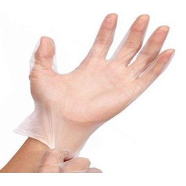 Powder Free Vinyl Gloves (Pack of 10), , s, , clear,